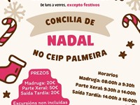 Campamento Nadal Concilia